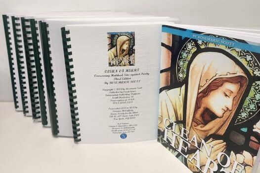 Six volumes of braille with print version of the book