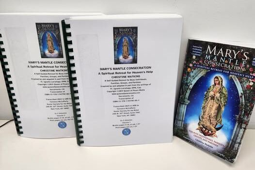 Two volumes of braille standing upright on the counter